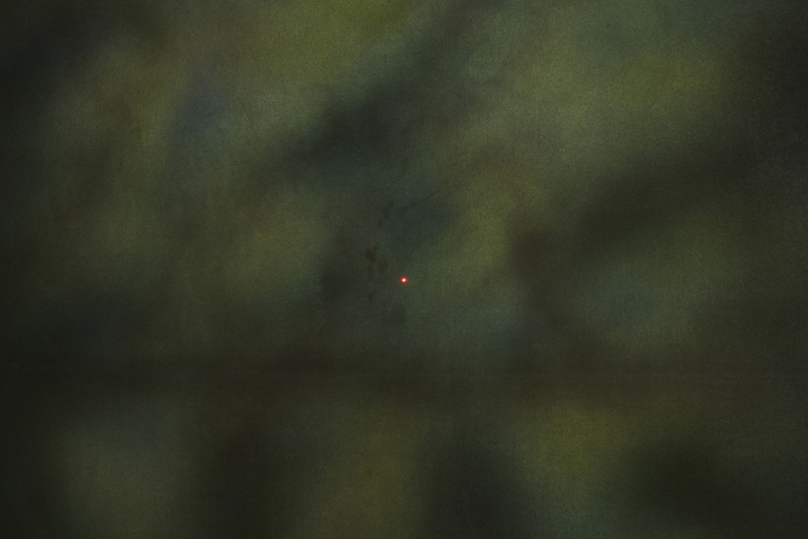 We Are Not Alone